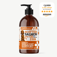 Thumbnail for Salmon Oil For Dogs - Medipaws
