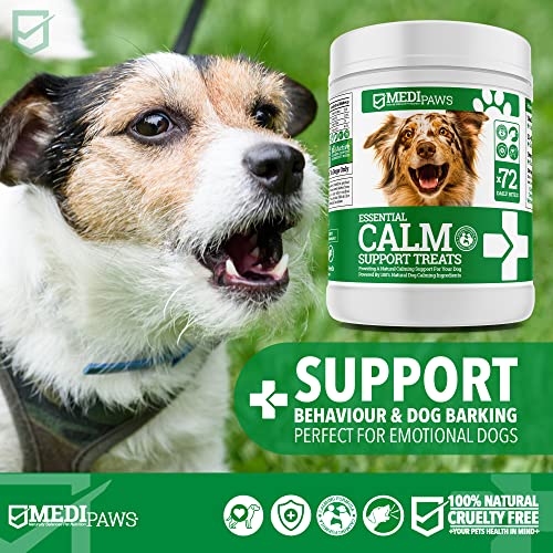 Calming Chews for Dogs